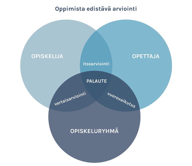 kuva: opiskelija-arviointi